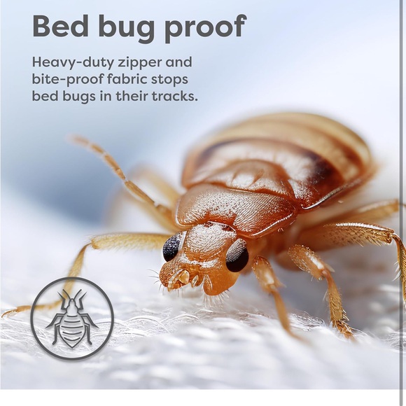 Sleep Defense System Pillow Encasement - White - Picture 7 of 9